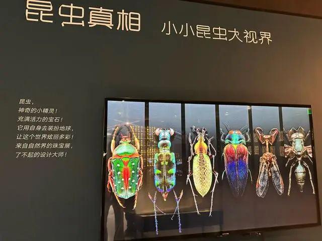 全市首个！丰台这个村办自然艺术博物馆升级后开馆众图尊龙凯时人生就是博·(中国)